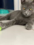 Francisco