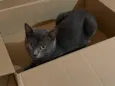 Francisco