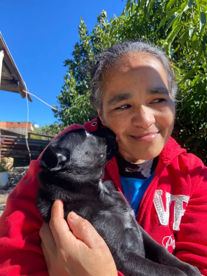 Cachorro raça SRD-ViraLata idade 2 a 6 meses nome Pretinha 