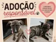 Cecília e Dora