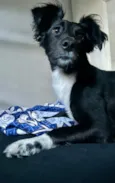 Lua