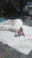 nao tem nome 