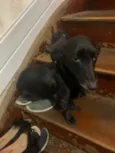 Tito