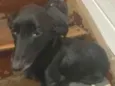 Tito