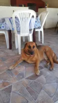 Sem nome (atende por Leo)