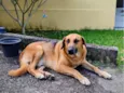 Sem nome (atende por Leo)