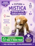 Mística
