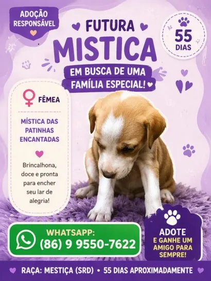 Cachorro raça SRD-ViraLata idade 2 a 6 meses nome Mística