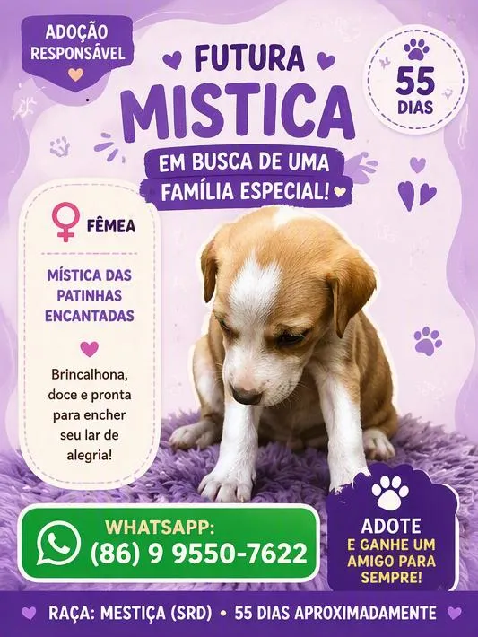 Cachorro raça SRD-ViraLata idade 2 a 6 meses nome Mística