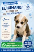 sem