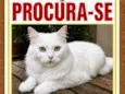 Branquinho