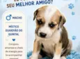 sem