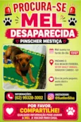 Mel