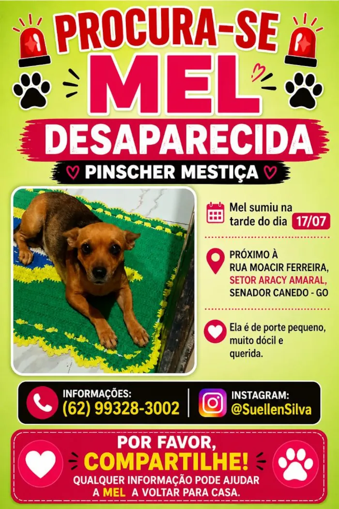 Cachorro raça SRD-ViraLata idade  nome Mel