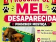 Mel