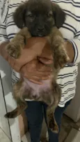 Vitória