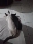 zulma e sua filhotinha