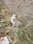 Yuki