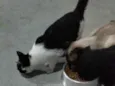 zulma e sua filhotinha