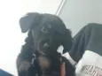 Bob