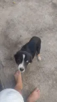 Spike 