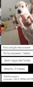 Sem nome