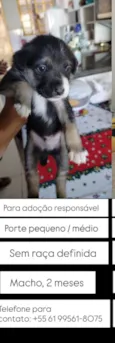 Sem nome 