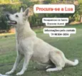 Lua