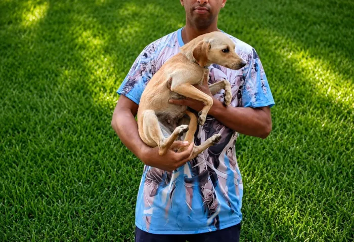 Cachorro raça SRD-ViraLata idade 2 anos nome Delícia Cremosa