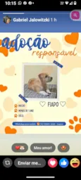 fiapo