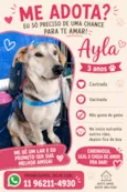 Ayla