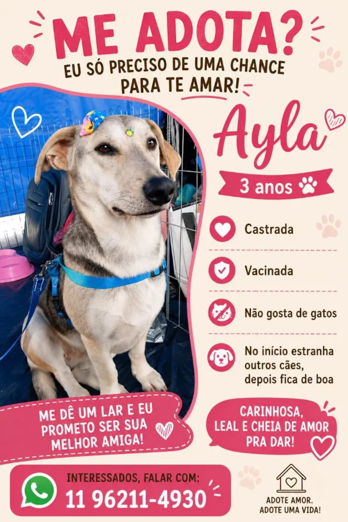 Cachorro raça SRD-ViraLata idade 3 anos nome Ayla
