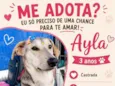 Ayla