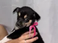 Sem nome