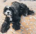 JÚNIOR