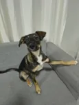 Bob