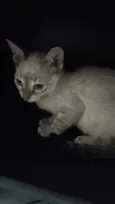 Marie