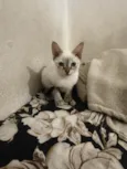 Marie