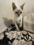 Marie