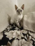 Marie