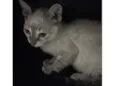Marie