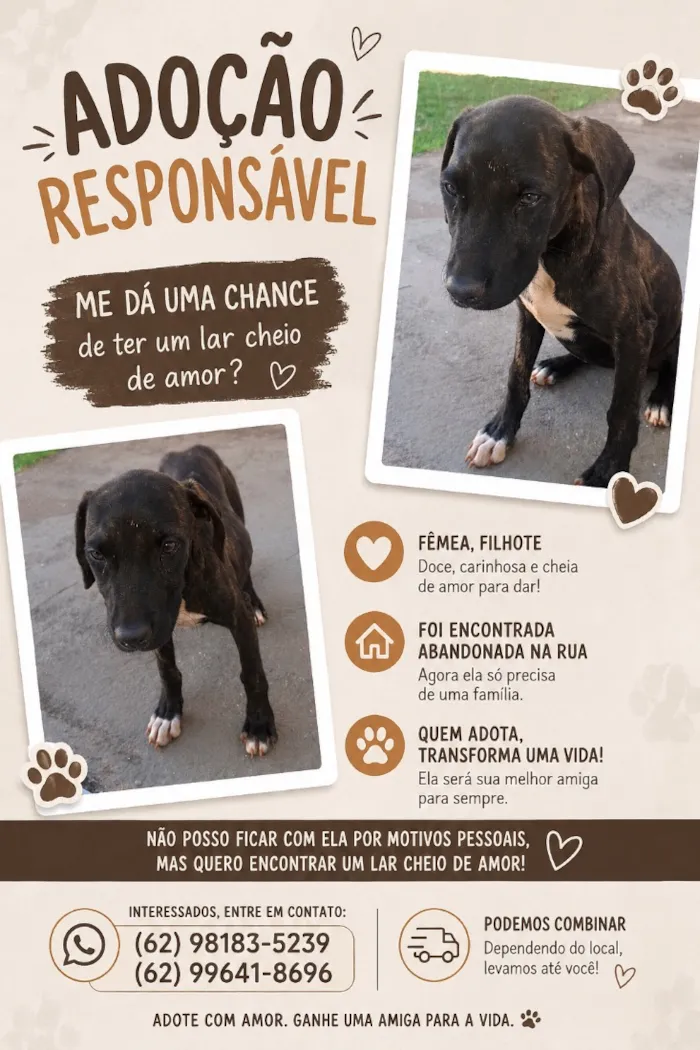 Cachorro raça SRD-ViraLata idade 2 a 6 meses nome Tigreza