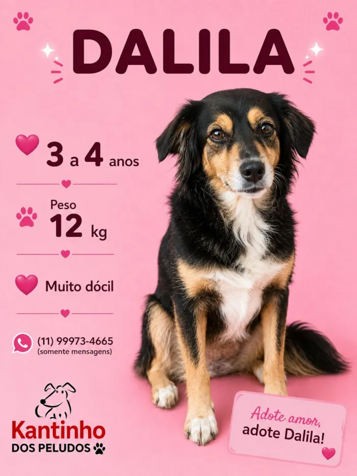 Cachorro raça SRD-ViraLata idade 3 anos nome Dalila