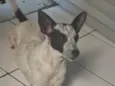 Mel