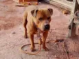 Ralf