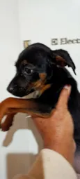 não tem nome ainda