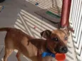 bebe 