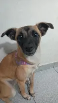 Lili