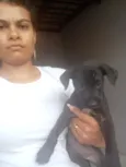 Zara,nix,Lilo,meg, Tor, Tata