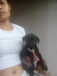 Zara,nix,Lilo,meg, Tor, Tata